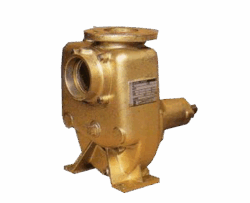 Ebara SQPB BRONZE ( For sea water)