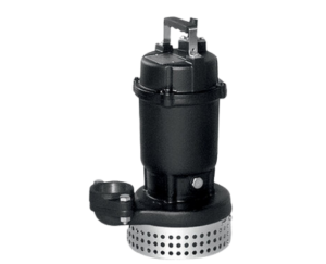 Pompa Ebara model DS